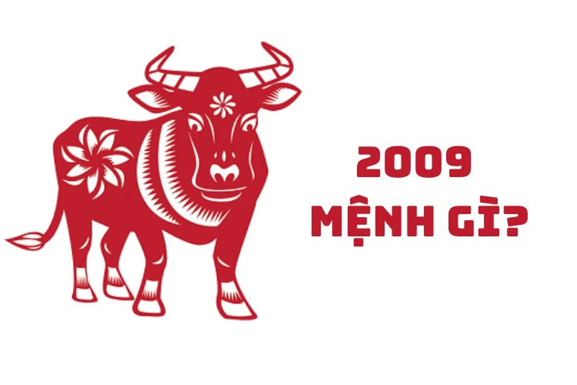 2009 mệnh gì? Bật mí bí quyết chọn màu sắc, nghề nghiệp hợp tuổi Kỷ Sửu