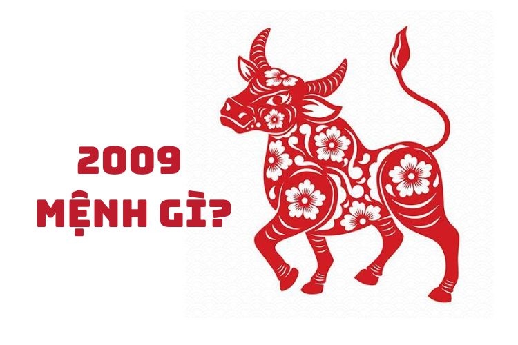 2009 mệnh gì? Bật mí bí quyết chọn màu sắc, nghề nghiệp hợp tuổi Kỷ Sửu để gặp nhiều may mắn