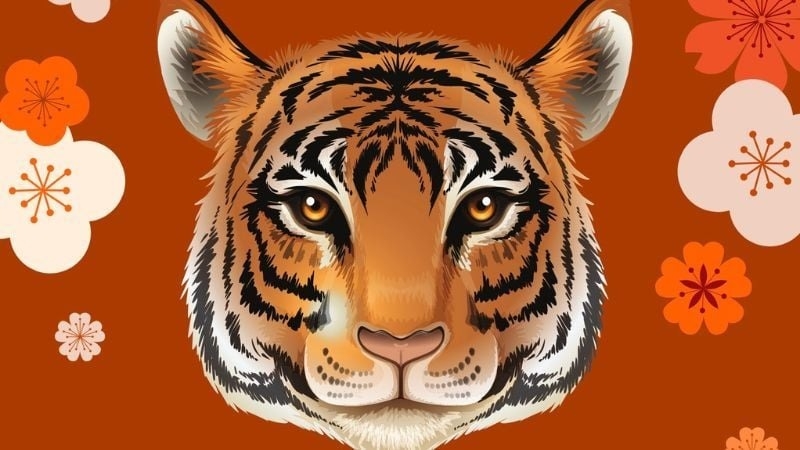 2010 là năm con gì? Đặc điểm tính cách của người tuổi Canh Dần