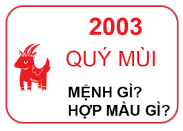2003 hop mau gi